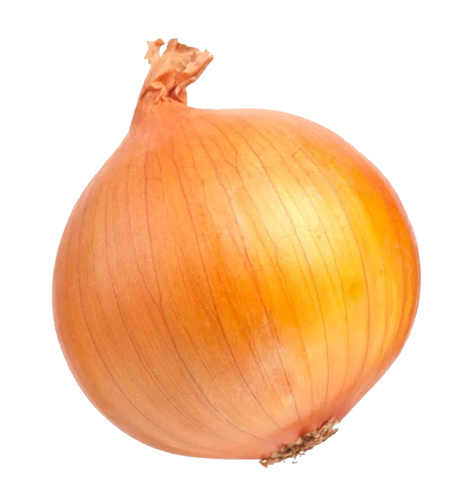 Onion