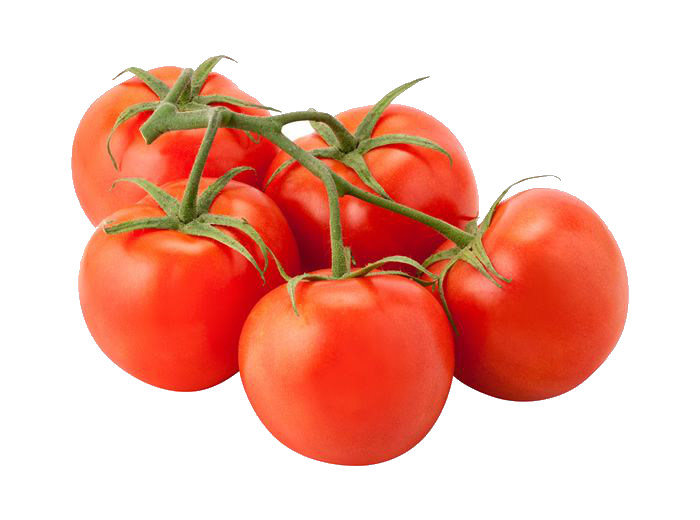 Tomato Fresh