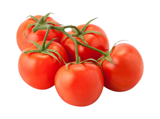 Tomato  Fresh