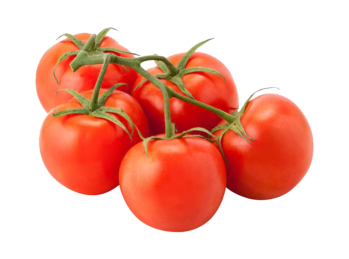 Tomato  Fresh