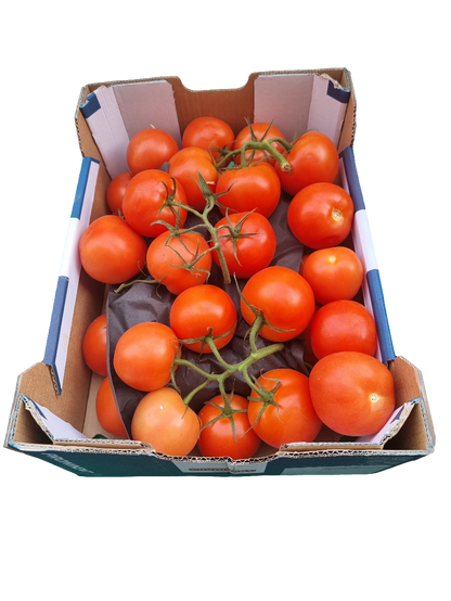Kvist tomater 5 kg