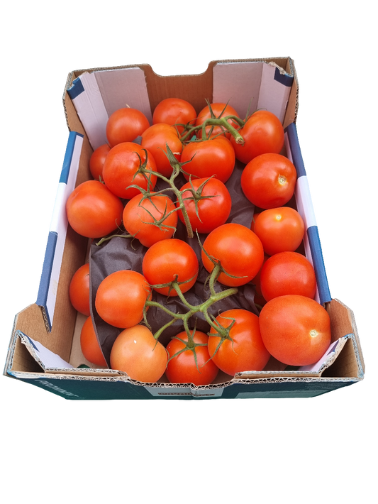 Kvist tomater 5 kg