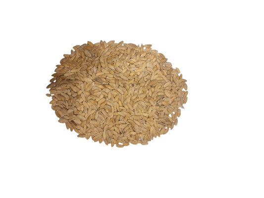 Honungsmelonfrö saltat lösvikt 1×10 kg