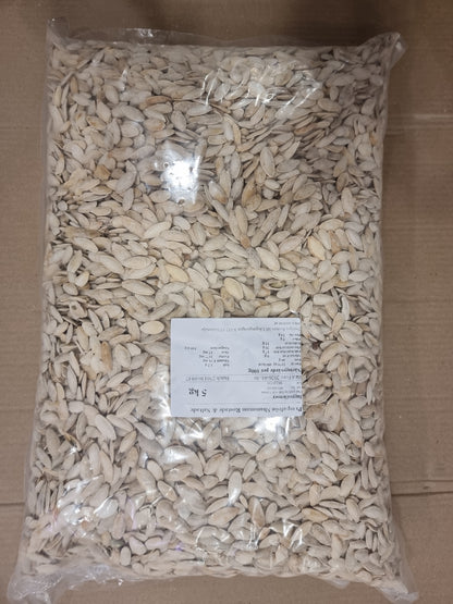 Pumpa frön rostat o saltat 5 kg