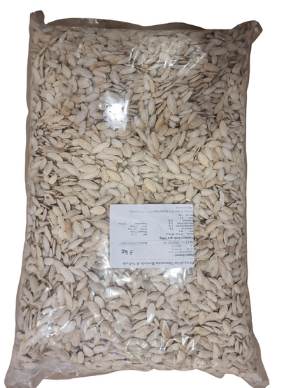 Pumpa frön rostat o saltat 5 kg